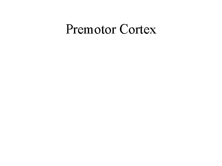 Premotor Cortex Premotor Cortex