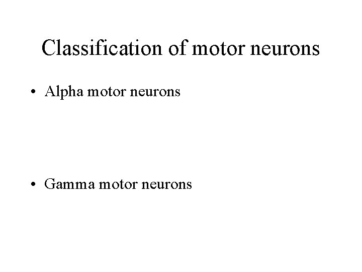 Classification of motor neurons • Alpha motor neurons • Gamma motor neurons Classification of motor neurons • Alpha motor neurons • Gamma motor neurons