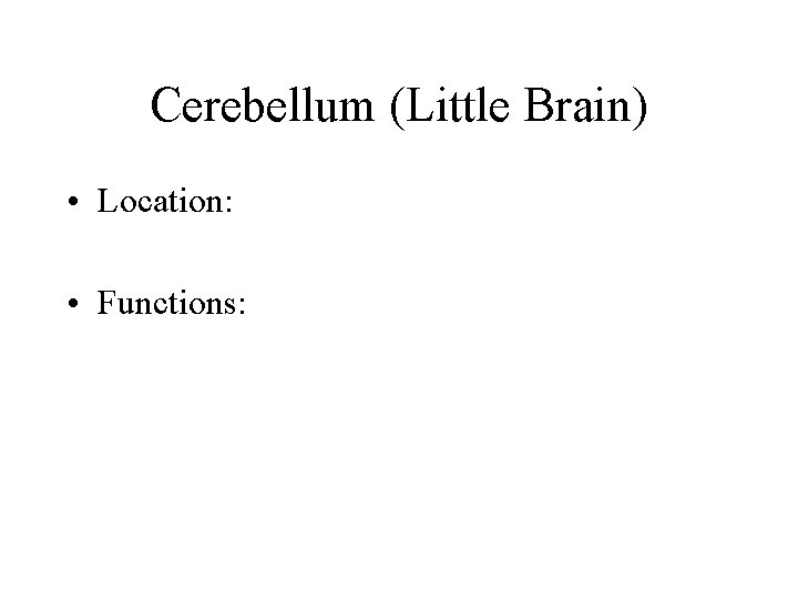 Cerebellum (Little Brain) • Location: • Functions: Cerebellum (Little Brain) • Location: • Functions: