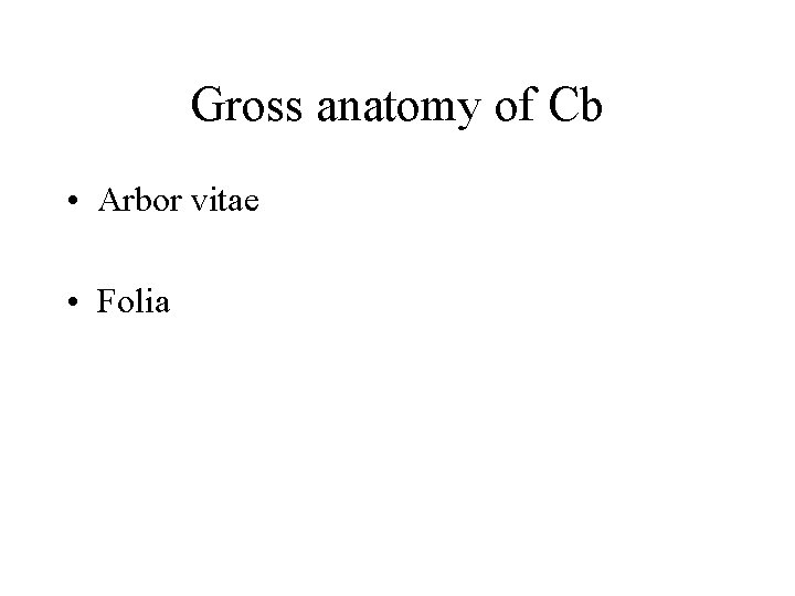 Gross anatomy of Cb • Arbor vitae • Folia Gross anatomy of Cb • Arbor vitae • Folia