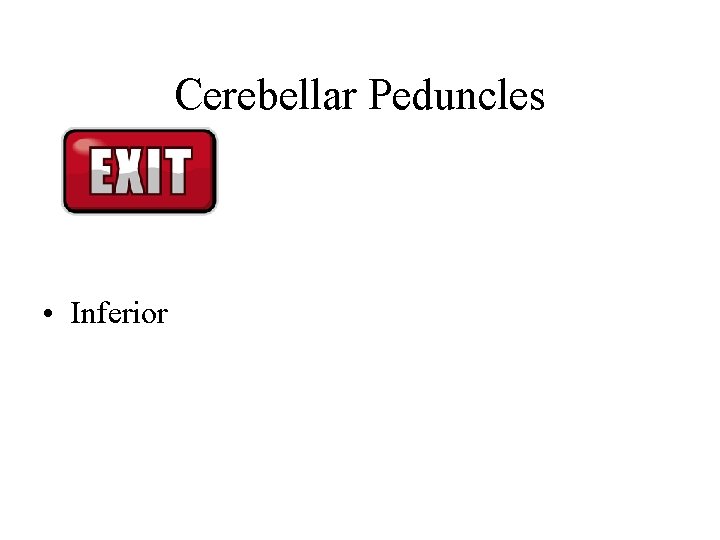 Cerebellar Peduncles • Inferior Cerebellar Peduncles • Inferior