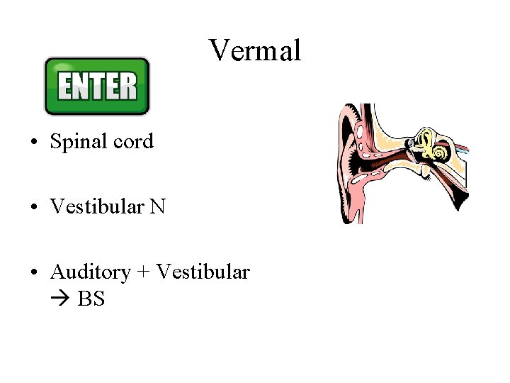 Vermal • Spinal cord • Vestibular N • Auditory + Vestibular BS Vermal • Spinal cord • Vestibular N • Auditory + Vestibular BS