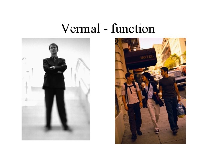 Vermal - function Vermal - function