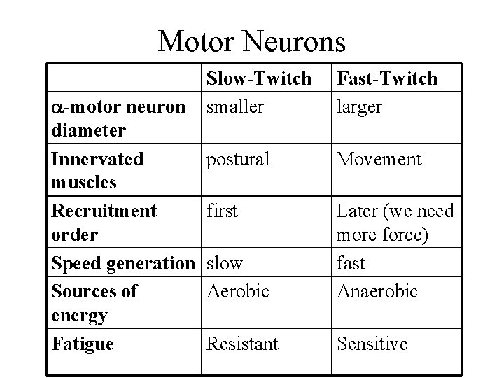 Motor Neurons -motor neuron diameter Innervated muscles Recruitment order Speed generation Sources of energy Motor Neurons -motor neuron diameter Innervated muscles Recruitment order Speed generation Sources of energy