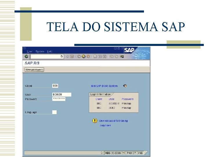 TELA DO SISTEMA SAP TELA DO SISTEMA SAP