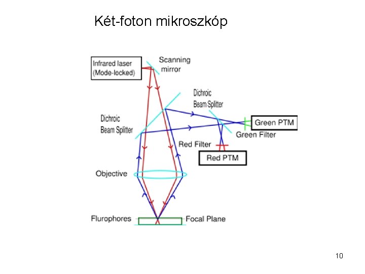 Két-foton mikroszkóp 10 