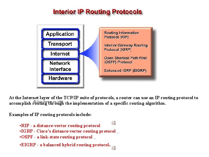 At the Internet layer of the TCP/IP suite of protocols, a router can use