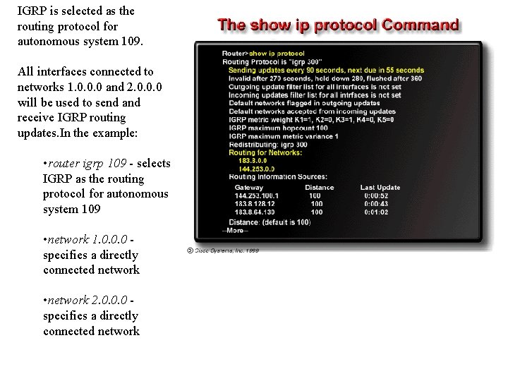 IGRP is selected as the routing protocol for autonomous system 109. All interfaces connected