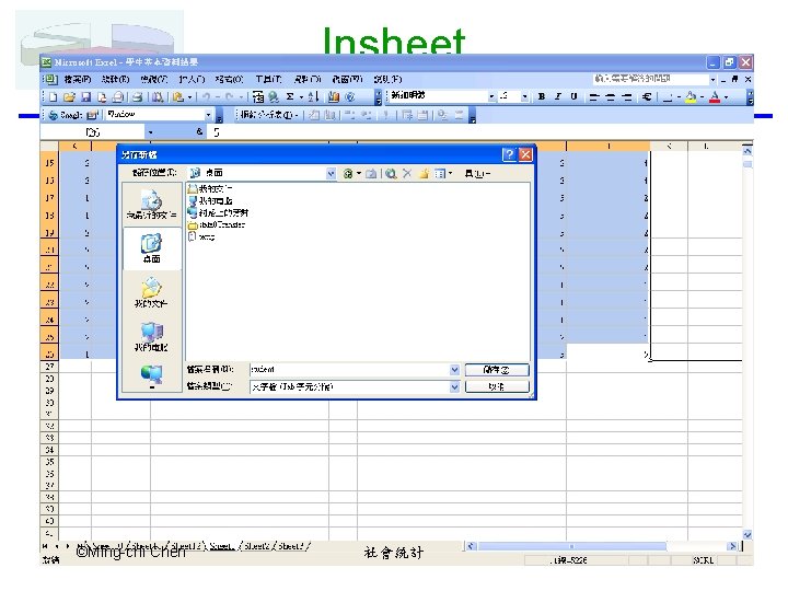 Insheet ©Ming-chi Chen 社會統計 