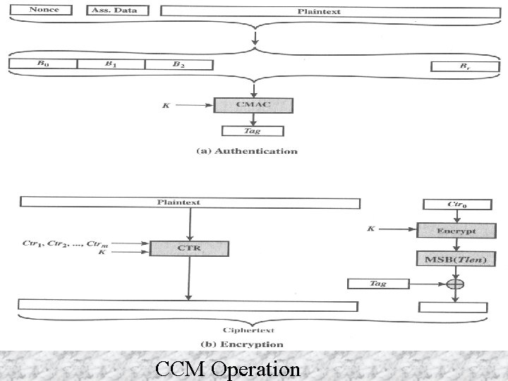 CCM Operation CCM Operation