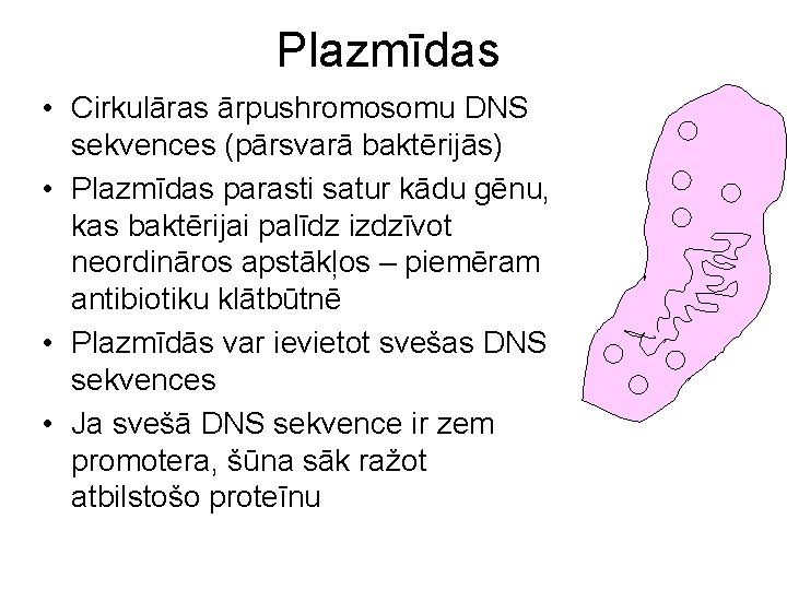 Plazmīdas • Cirkulāras ārpushromosomu DNS sekvences (pārsvarā baktērijās) • Plazmīdas parasti satur kādu gēnu,