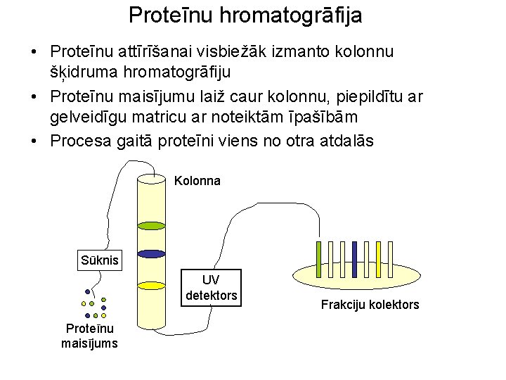Proteīnu hromatogrāfija • Proteīnu attīrīšanai visbiežāk izmanto kolonnu šķidruma hromatogrāfiju • Proteīnu maisījumu laiž