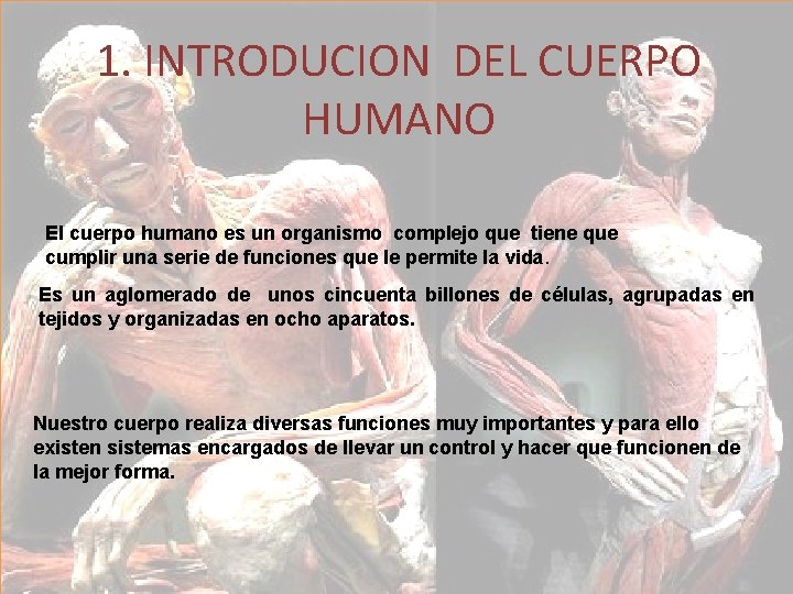1. INTRODUCION DEL CUERPO HUMANO El cuerpo humano es un organismo complejo que tiene