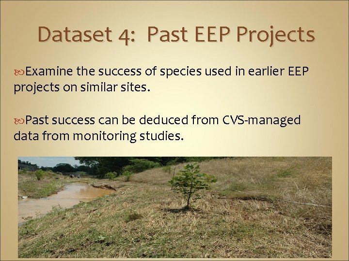 Dataset 4: Past EEP Projects Examine the success of species used in earlier EEP