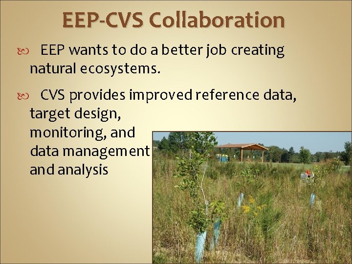 EEP-CVS Collaboration EEP wants to do a better job creating natural ecosystems. CVS provides