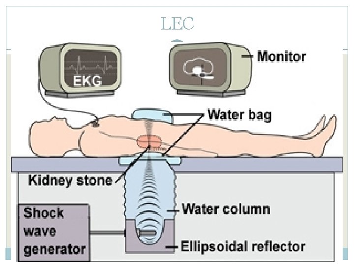 LEC 