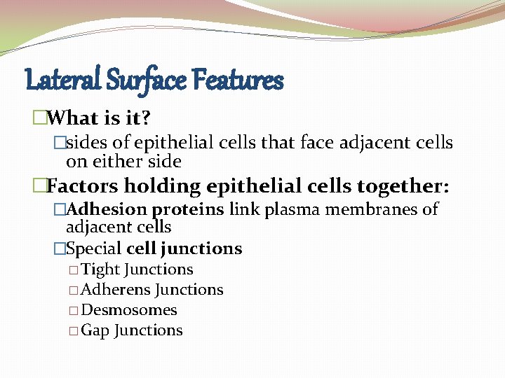 Lateral Surface Features �What is it? �sides of epithelial cells that face adjacent cells Lateral Surface Features �What is it? �sides of epithelial cells that face adjacent cells