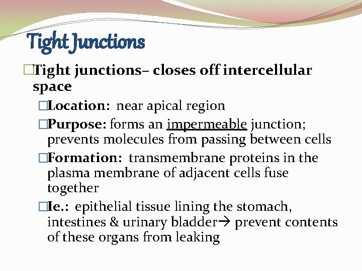 Tight Junctions �Tight junctions– closes off intercellular space �Location: near apical region �Purpose: forms Tight Junctions �Tight junctions– closes off intercellular space �Location: near apical region �Purpose: forms