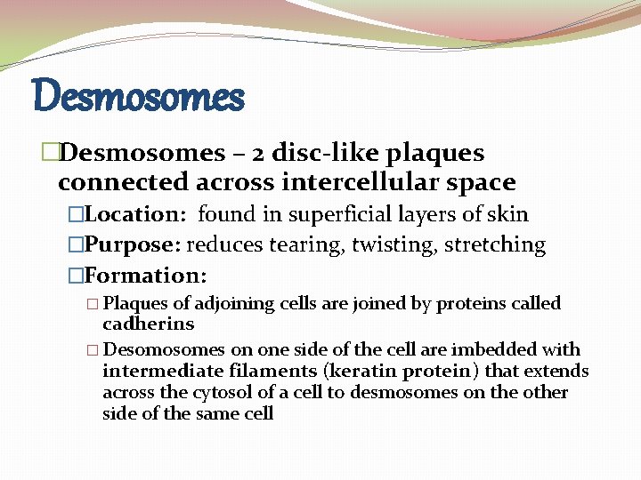 Desmosomes �Desmosomes – 2 disc-like plaques connected across intercellular space �Location: found in superficial Desmosomes �Desmosomes – 2 disc-like plaques connected across intercellular space �Location: found in superficial