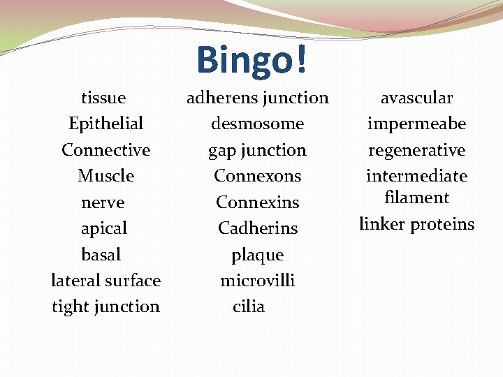 Bingo! tissue Epithelial Connective Muscle nerve apical basal lateral surface tight junction adherens junction Bingo! tissue Epithelial Connective Muscle nerve apical basal lateral surface tight junction adherens junction
