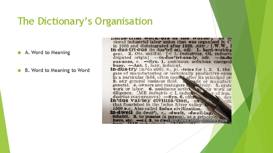 The Dictionary’s Organisation A. Word to Meaning B. Word to Meaning to Word 