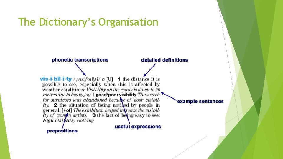 The Dictionary’s Organisation 