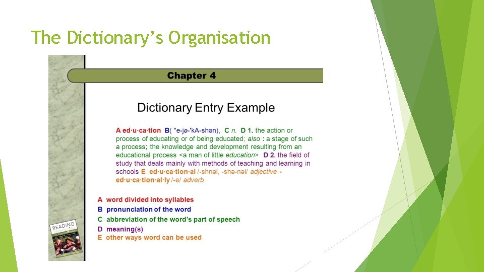 The Dictionary’s Organisation 
