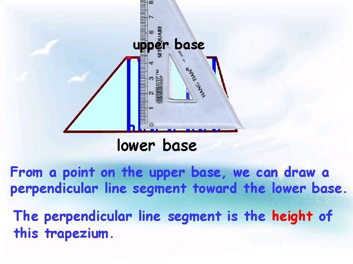 upper base lower base From a point on the upper base, we can draw