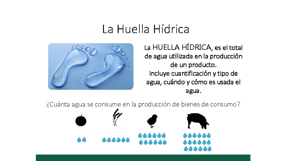 La Huella Hídrica La HUELLA HÍDRICA, es el total de agua utilizada en la