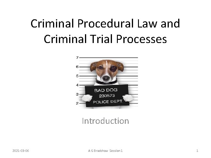 Criminal Procedural Law and Criminal Trial Processes Introduction 2021 -03 -06 A G Bradshaw