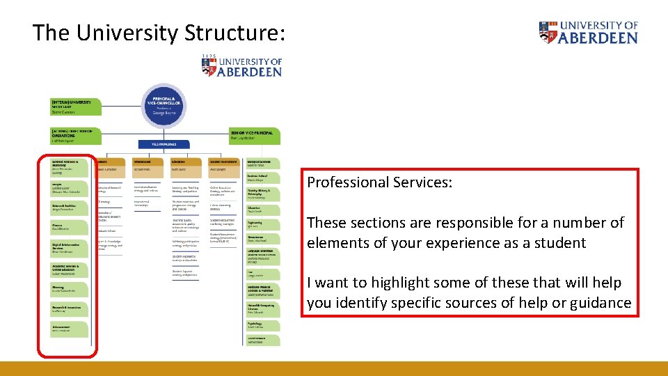 The University Structure: Professional Services: These sections are responsible for a number of elements