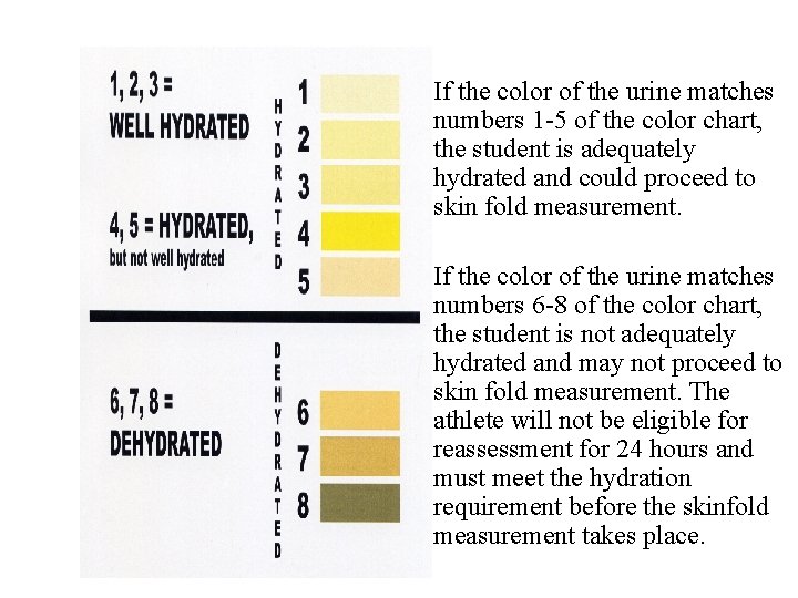 If the color of the urine matches numbers 1 -5 of the color chart, If the color of the urine matches numbers 1 -5 of the color chart,