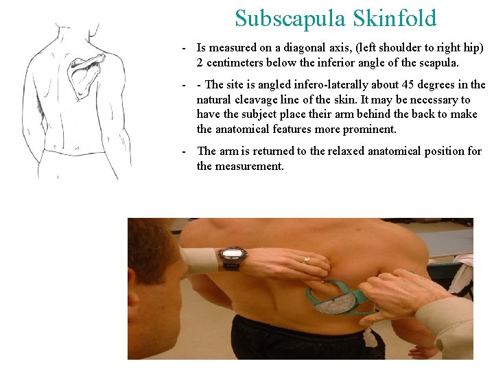 Subscapula Skinfold - Is measured on a diagonal axis, (left shoulder to right hip) Subscapula Skinfold - Is measured on a diagonal axis, (left shoulder to right hip)