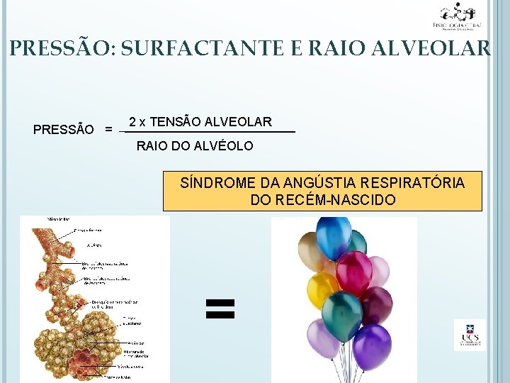 PRESSÃO: SURFACTANTE E RAIO ALVEOLAR PRESSÃO = 2 x TENSÃO ALVEOLAR RAIO DO ALVÉOLO