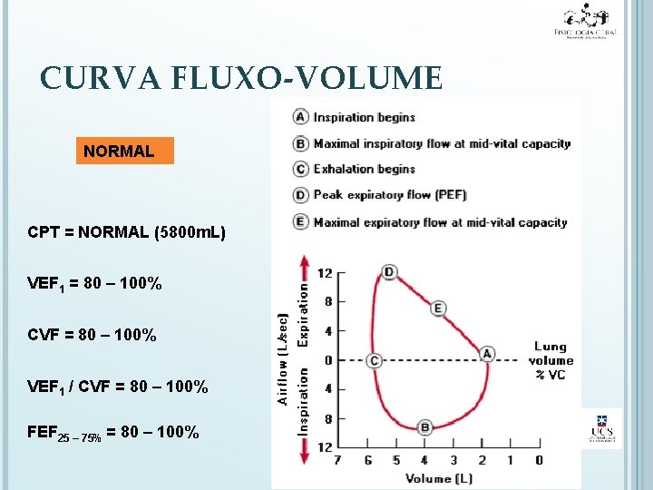 CURVA FLUXO-VOLUME NORMAL CPT = NORMAL (5800 m. L) VEF 1 = 80 –