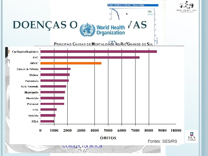 DOENÇAS OBSTRUTIVAS PRINCIPAIS CAUSAS DE MORTALIDADE NO RIO GRANDE DO SUL DPOC (ENFISEMA E