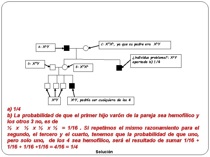 A: D: C: Xh. Y XHXh, ya que su padre era X h. Y