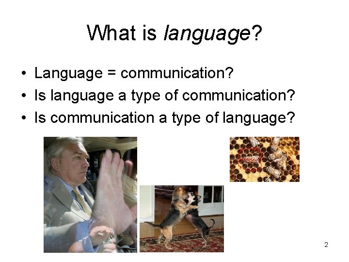 What is language? • Language = communication? • Is language a type of communication?