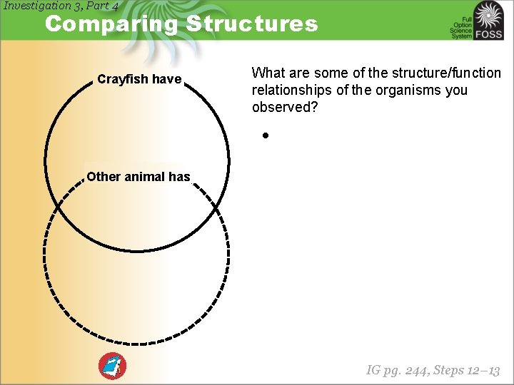 Investigation 3, Part 4 Comparing Structures Crayfish have What are some of the structure/function