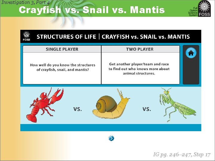 Investigation 3, Part 4 Crayfish vs. Snail vs. Mantis IG pg. 246– 247, Step