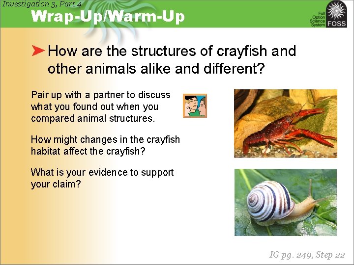 Investigation 3, Part 4 Wrap-Up/Warm-Up How are the structures of crayfish and other animals