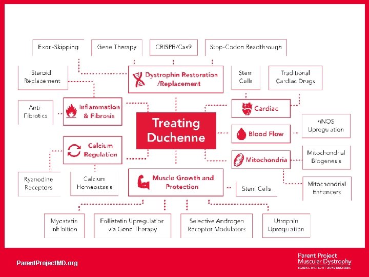 Parent. Project. MD. org 