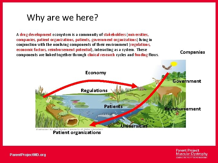 Why are we here? A drug development ecosystem is a community of stakeholders (universities,