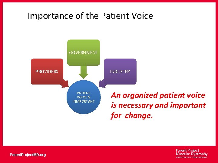 Importance of the Patient Voice GOVERNMENT PROVIDERS INDUSTRY PATIENT VOICE IS INMPORTANT Parent. Project.