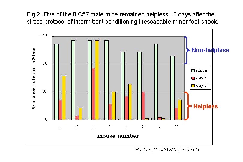 Fig. 2. Five of the 8 C 57 male mice remained helpless 10 days