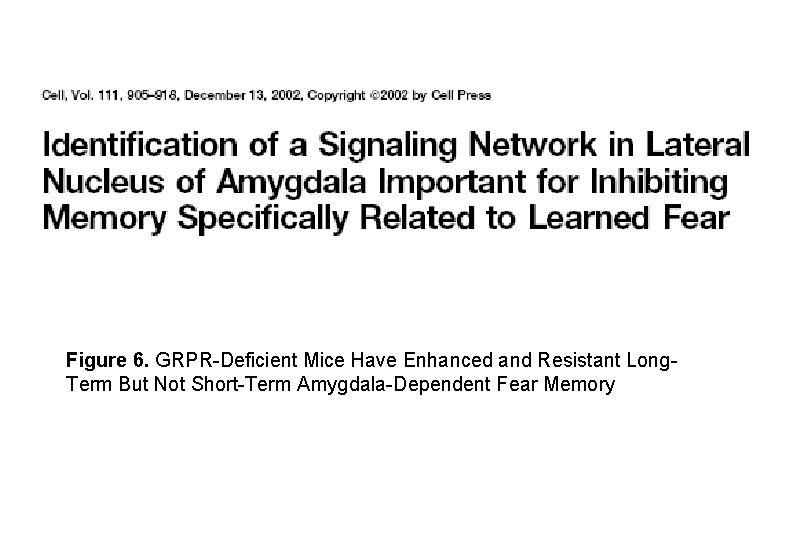 Figure 6. GRPR-Deficient Mice Have Enhanced and Resistant Long. Term But Not Short-Term Amygdala-Dependent