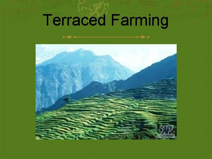Terraced Farming 