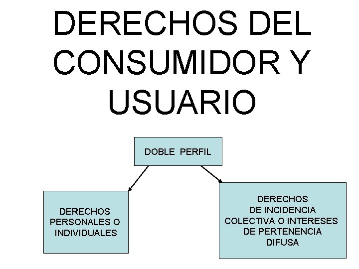 DERECHOS DEL CONSUMIDOR Y USUARIO DOBLE PERFIL DERECHOS PERSONALES O INDIVIDUALES DERECHOS DE INCIDENCIA