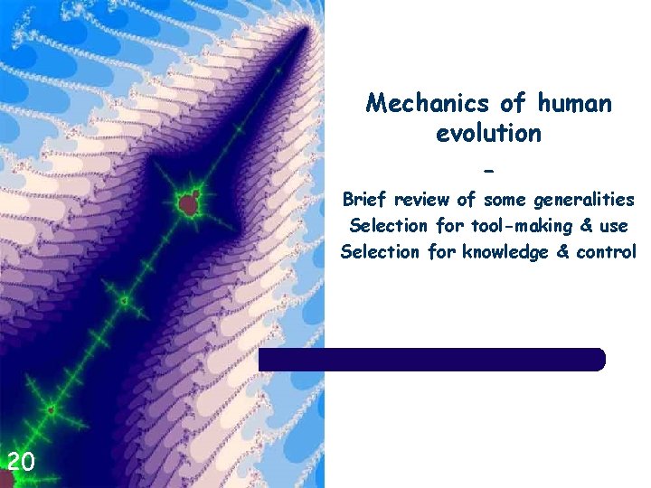 Mechanics of human evolution Brief review of some generalities Selection for tool-making & use