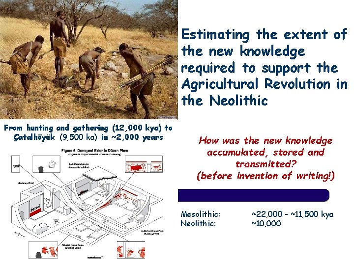 Estimating the extent of the new knowledge required to support the Agricultural Revolution in